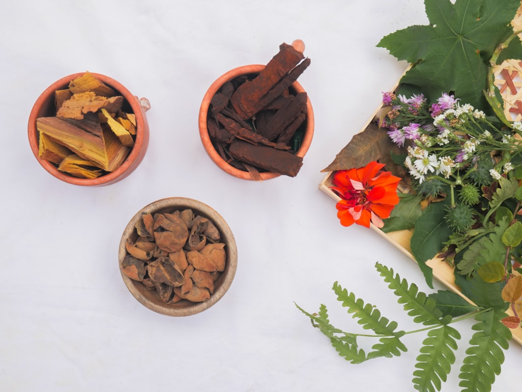 Turmeric - golden spice for wellness